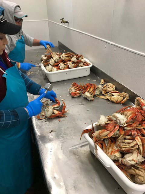 Justin's Crab Co employees preparing fresh, delicious, wholesale dungeness crab for crab feeds, fundraisers, and social events in the Northern California Bay Area